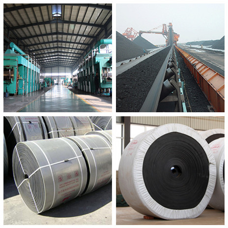 EP-250 Conveyor belt Specification