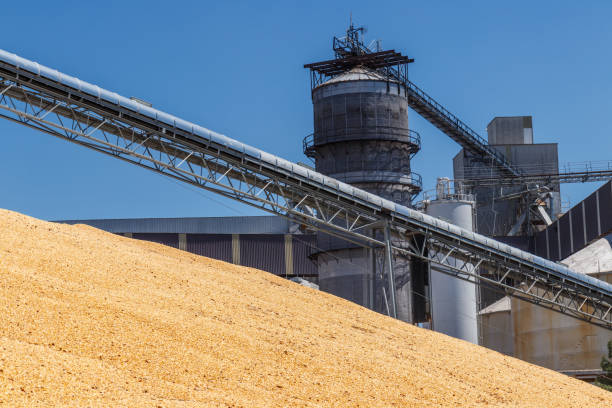 feed mill belt