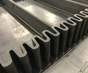 Raised Edge Conveyor Belt