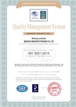 ISO9001 -MONSTER BELTING