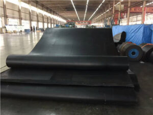 EP200 belt conveyor