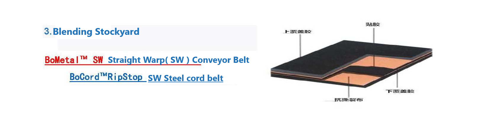 Straight Warp( SW ) Conveyor Belt